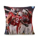 Arizona Cardinals Pillow