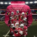 Arizona Cardinals Hoodie 3D Sweatshirts