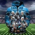 Carolina Panthers Hoodie 3D Sweatshirts