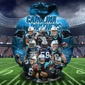 Carolina Panthers Hoodie 3D Sweatshirts